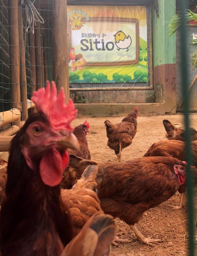 Sitio Robatto Ecopousada Camaçari Zewnętrze zdjęcie
